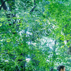 広大な2500平米の緑美しい森は、訪れるすべてのゲストを優しく包み込む|アカガネリゾート京都東山（AKAGANE RESORT KYOTO HIGASHIYAMA）の写真(26409959)