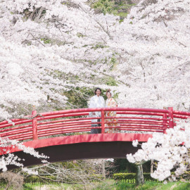 【まだ間に合う！】春のフォトウェディングできますフェア