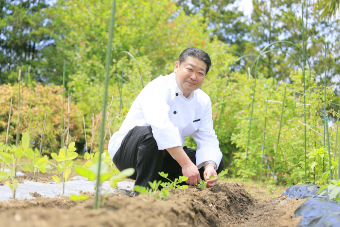 料理長自ら、愛情を込めて育てた食材を生かし、婚礼料理を完成させる。