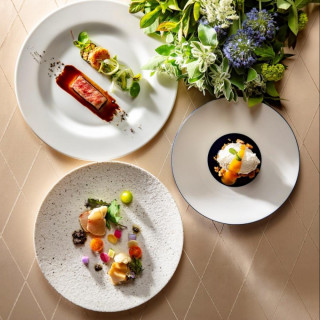 ＼料理重視必見！当フェア限定／絶品オマール×特製茶碗蒸し試食