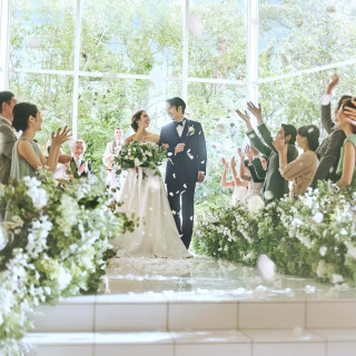 希望時期に合わせた【期間限定割引】特典!