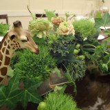 動植物園をイメージした飾り付けも人気です♪