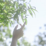 自然溢れるガーデンではより一層きれいに映える