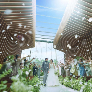 月1限定【最大130万特典】緑*光の感動チャペル×新作ドレス*贅沢試食