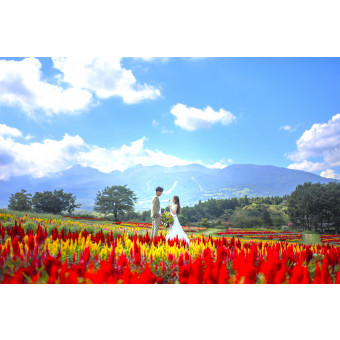 Enchante/ ARCHE(アンシャンテ/アルシェ)