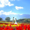Enchante/ ARCHE(アンシャンテ/アルシェ)