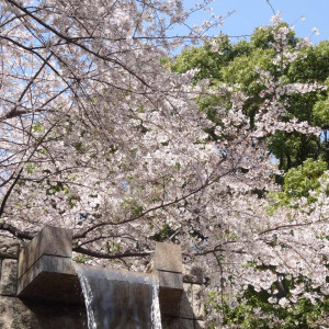 御殿山は江戸時代から桜の名所として親しまれ
浮世絵にも描かれてきました|東京マリオットホテルの写真(1484097)