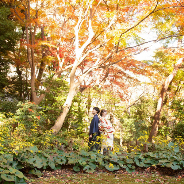 江戸時代に築庭された御殿山庭園。2000坪もの豊かな自然が広がる歴史と自然が調和する美しい空間