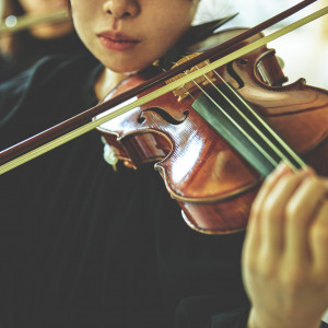 会場での生演奏は圧巻|八雲迎賓館の写真(33763722)