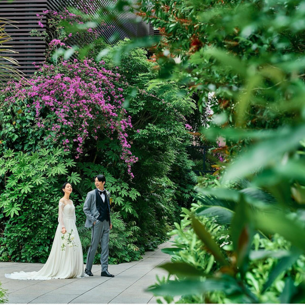 自然が感じられる特別空間