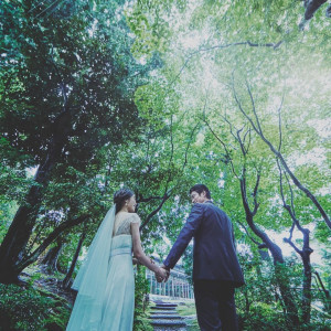 自然の美を最大限に生かした、時を超えて愛され続ける日本庭園|辻家庭園 ～前田家家老旧横山家迎賓館～（金沢市指定文化財）の写真(56055905)