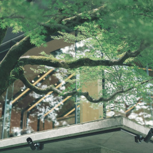 日本庭園を存分に愉しむことができる一日|辻家庭園 ～前田家家老旧横山家迎賓館～（金沢市指定文化財）の写真(12602669)