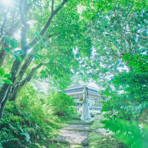 自然を余すことなく取り入れた日本らしい繊細な緑美|辻家庭園 ～前田家家老旧横山家迎賓館～（金沢市指定文化財）の写真(33141558)