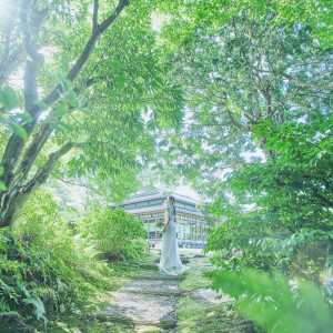 荘厳な木々に囲まれた辻家庭園ならではの結婚式を|辻家庭園 ～前田家家老旧横山家迎賓館～（金沢市指定文化財）の写真(56055505)
