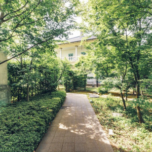 桜並木を抜けて辿り着く都心の深緑|旧桜宮公会堂の写真(57103144)