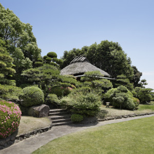 美しい花嫁のドレス姿に庭園の木々が彩りをそえる|ジェームス邸の写真(46720470)