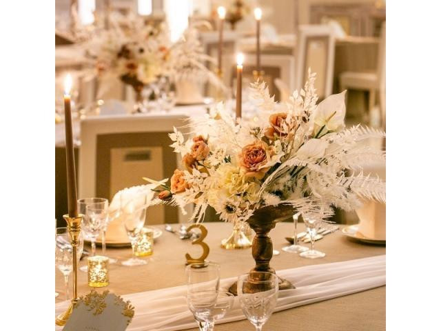 11月~リニューアルプランスタート!