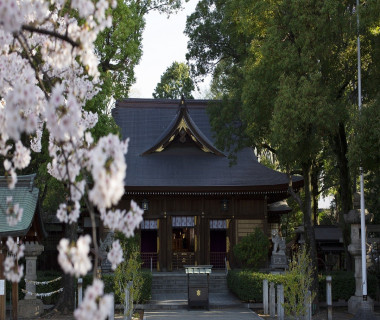 尾張名古屋の総鎮守「若宮八幡社」 厳かな挙式がはじまります