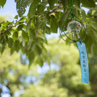 夏は沢山の風鈴がお二人をおむかえします