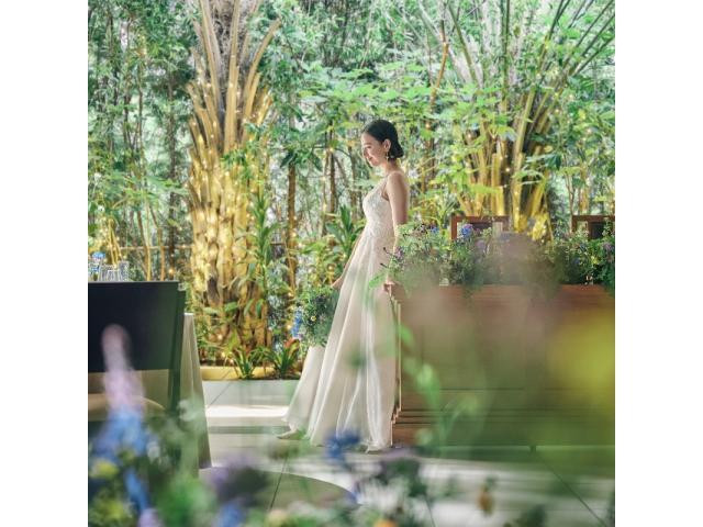 ファッションショー