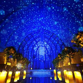 残▲限定SP*2万GIFT&150万特典/星空演出×感動挙式体験&試食