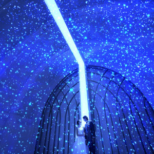 【ルミエールクルス】息をのむような美しい星空に包まれる光の演出が人気のチャペル|アルマリアンTOKYOの写真(35792134)