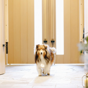 愛犬も参加することでアットホームな挙式に|ザ・ガーデンオリエンタル・大阪の写真(46344226)