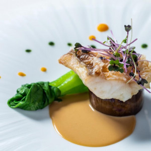 残2【11月限定*フルコース試食付】浜松グランメゾン堪能♪1万GIFT