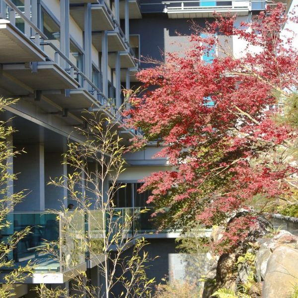 ホテルのエントランス付近 たくさんの木々やお花で四季折々の情景が楽しめるのも魅力|ザ・リッツ・カールトン京都の写真(790349)