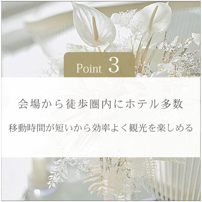 グレードや料金に合わせた多種多様なホテルがあるので滞在スタイルに合わせて選ぶことができます