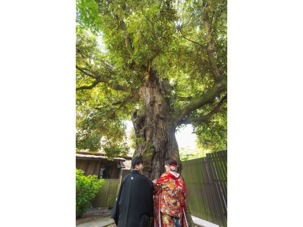 藤右ェ門WEDDING（国登録有形文化財）