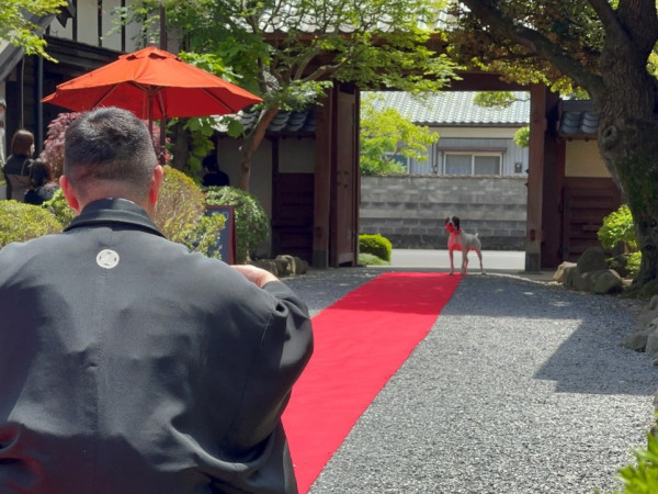 季節ごとに表情を変える日本庭園