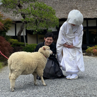 羊をこよなく愛する新郎さまの夢は「羊と触れ合い一緒に集合写真を撮る」ことでした！