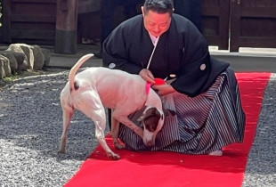 藤右ェ門