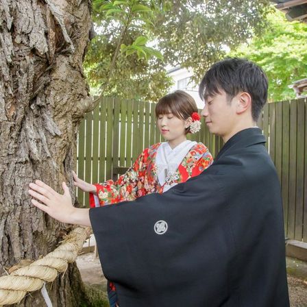 椎の木は藤右ェ門パワースポット。手をあてて目をつぶると脈々と流れる木の生命力が伝わってくるような気がします。幸運がもたらされますように。|藤右ェ門WEDDING（国登録有形文化財）の写真(23125876)