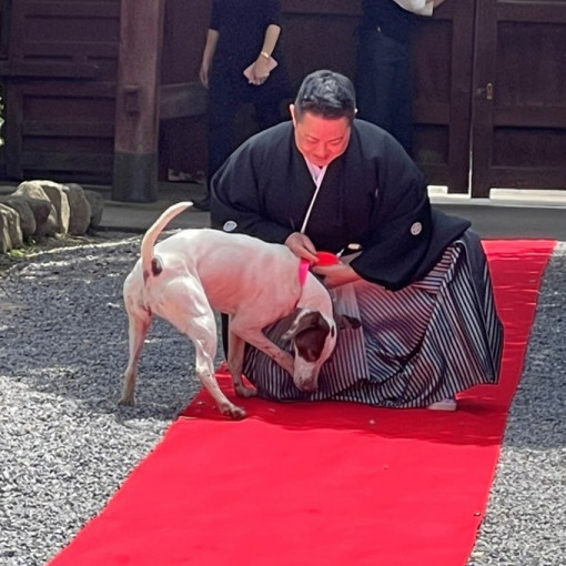 藤右ェ門WEDDING（国登録有形文化財）