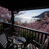 温泉旅館「桐のかほり咲楽」ペア宿泊プレゼント