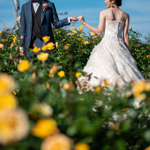 Enchante/ Baum (アンシャンテ/バウム)