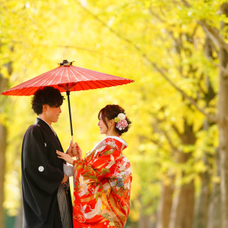 11月の紅葉となら和装が良く似合う黄色や赤などのカラフルなお写真に！