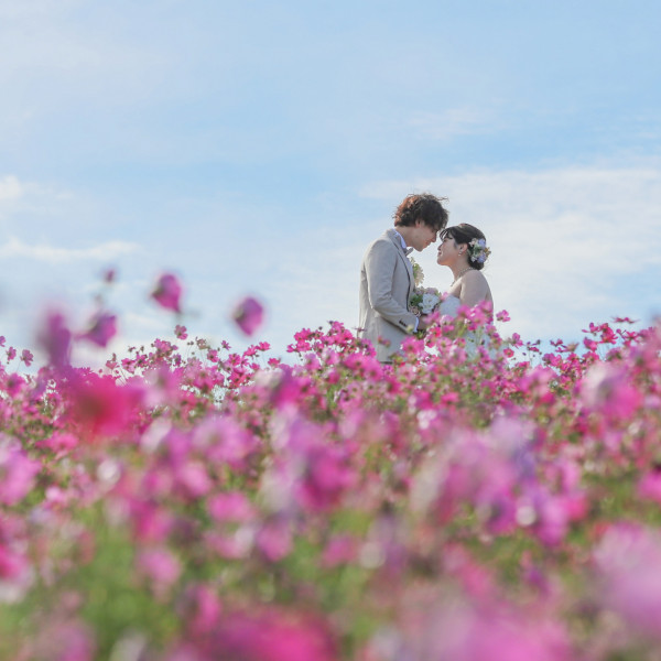 たくさん素敵な写真を残そう