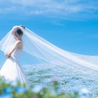Enchante/ALAISE(アンシャンテ/アレーズ)