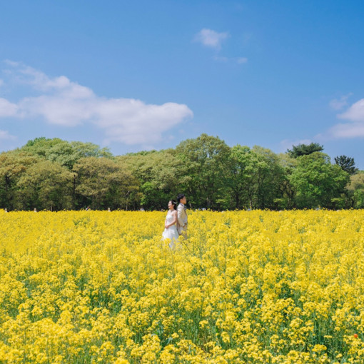 Enchante/ひたちなか本店