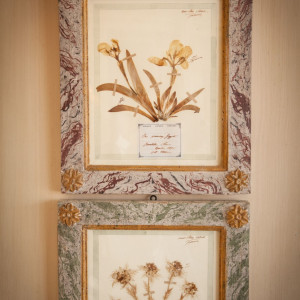 プロヴァンスの押し花。|ブノワ（BENOIT）の写真(1026378)