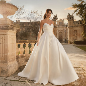 STAR GATE (スターゲイト）の写真(49565478)