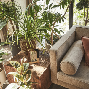 ウッド×ナチュラルで自然体なコーディネートに|EXEX SUITES（エグゼクス・スウィーツ）の写真(15573330)