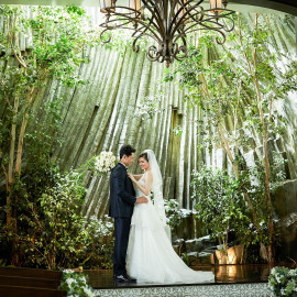 衣装優待付！【陽光差し込む圧巻の上質空間体験】竹林×自然美