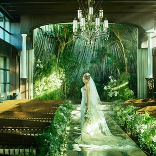 衣装優待付！【陽光差し込む圧巻の上質空間体験】竹林×自然美