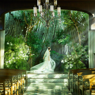衣装優待付!【陽光差し込む圧巻の上質空間体験】竹林×自然美