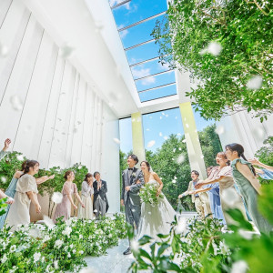 ユーザー写真・画像（合計854枚）｜KOTOWA 奈良公園 Premium View