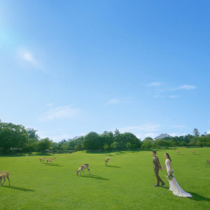 緑豊かな木々を背景に一望できる奈良公園♪澄み渡った青空・風に揺れる緑豊かな木々・かすかに聞こえる水の音・鳥のさえずり。そんな自然に囲まれた中で素敵な衣装と共に♪|KOTOWA 奈良公園 Premium View（コトワ 奈良公園 プレミアム ビュー）の写真(34907197)